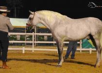 CACO, DE Y ANTONIO TORRICO, SUBCAMPEON DEL CONCURSO. PRESENTA